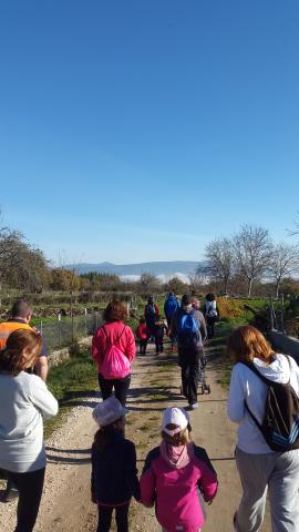 Fin de semana de Magosto, Castañas e Outono