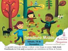 A maxia dun "Sendeiro Miúdo" no outono